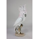 A Royal Dux porcelain model of a parrot, with pink tinged white feathers, pink triangle factory mark