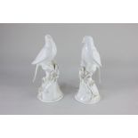 A pair of Crown Staffordshire white glazed bone china models of doves, each perched atop a branch