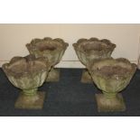 A set of four stone composition garden urn planters with scalloped borders, on square bases, 44cm