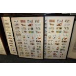 A collection of Will's Cigarette Cards, depicting household D.I.Y tips, to include ridding a