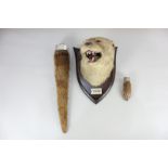 A taxidermied Eurasian otter mask, tail rudder and paw, the mask c.1937, by Peter Spicer & Sons,