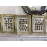Three framed colour prints depicting illustrations of ancient pottery, from Crete and Greece,