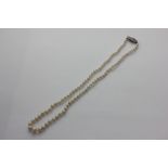 A single row pearl necklace the graduated beads strung and knotted on a platinum and diamond clasp