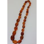 An amber bead necklace one bead with an included insect