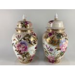 A pair of late 19th / early 20th century Franz Anton Mehlem for Royal Bonn porcelain urns and