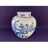 A Chinese blue and white porcelain ginger jar and cover, decorated with a bird amongst foliage