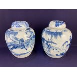 A pair of Chinese blue and white porcelain ginger jars and covers, both decorated with a scene of