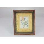 A 19th century miniature painting of a flower sprig, on rice paper, in ornate gilt frame, in a