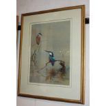 Charles Whymper, RI, (1853-1941), kingfishers, watercolour, signed, 48cm by 34cm