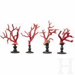 A set of four Italian red coral branches on black stained ivory base, 19th centuryNaturalistic coral