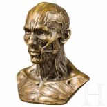 A probably German anatomical bust in bronze, circa 1900Foully round and anatomically correct