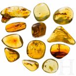 12 amber stones with inclusionsUnterschiedliche, geschliffene und polierte Stücke