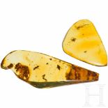 Two amber stones with multiple inclusionsUnterschiedliche, geschliffene und polierte Stücke aus
