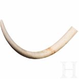 A Tanzanian elephant's tusk, 20th centuryStoßzahn eines afrikanischen Elefanten (Loxodonta