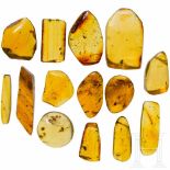 14 large amber stones with inclusionsGeschliffene und polierte Stücke aus meistens klarem