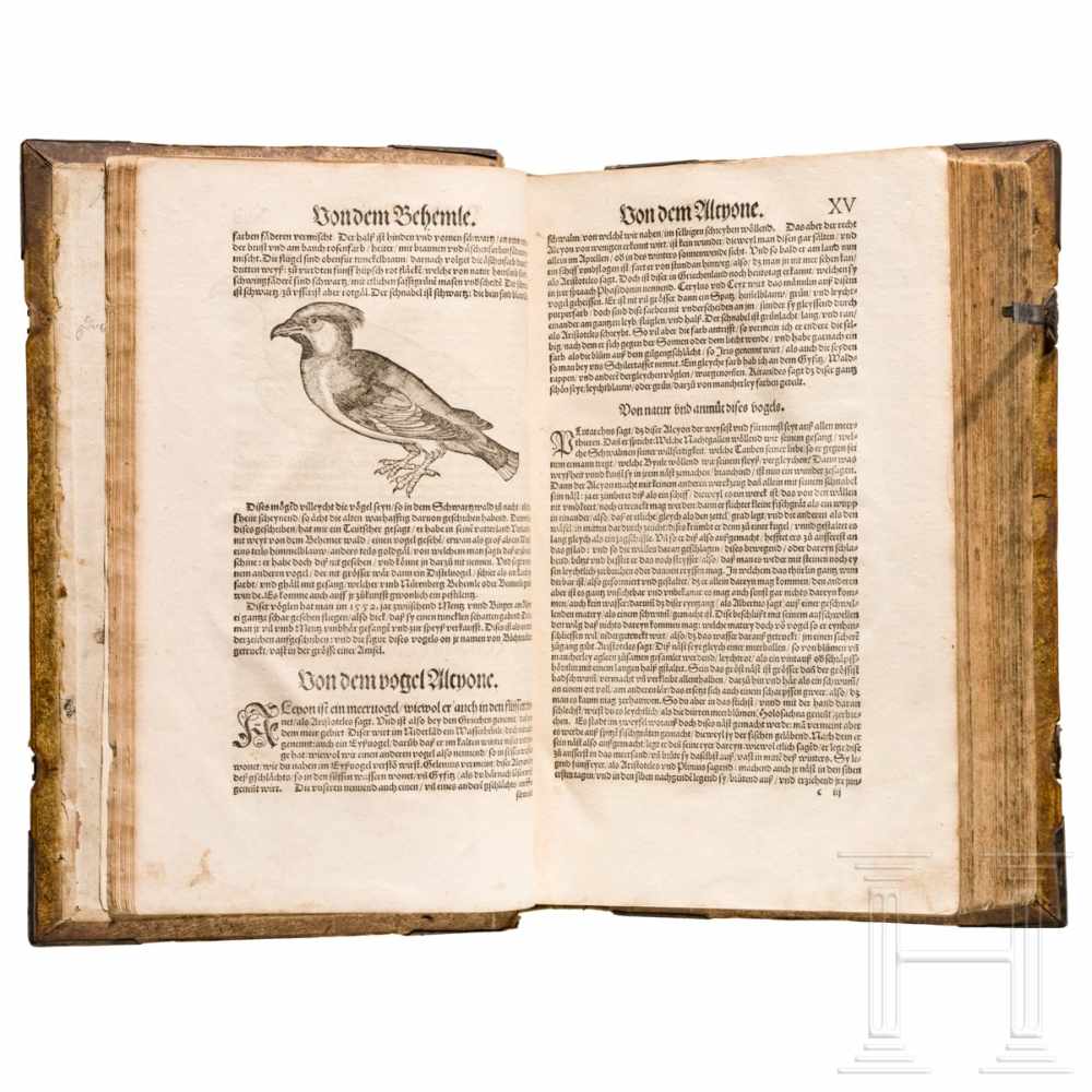 Conrad Gesner, drei Hauptwerke in einem Band: Vogelbuch, Thierbuch, Fischbuch; Zürich, Froschauer, - Image 22 of 46