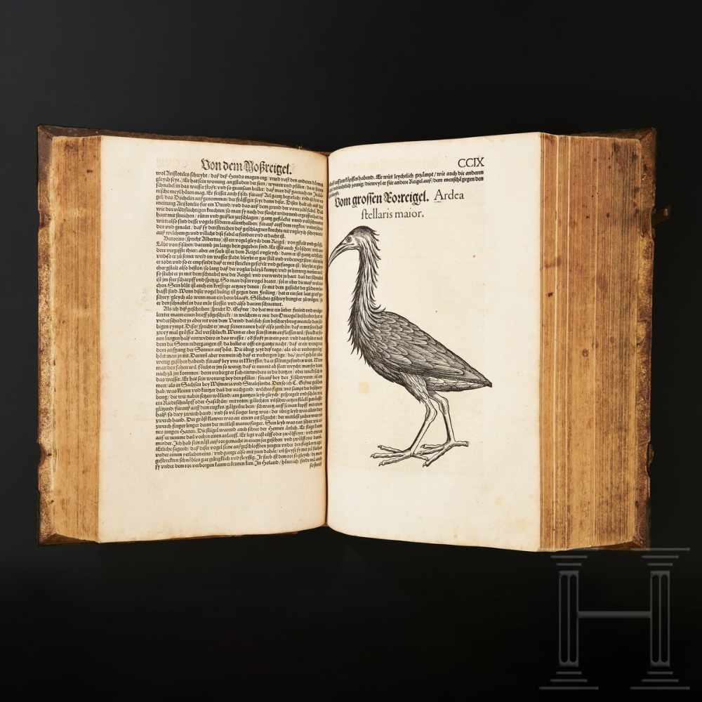 Conrad Gesner, drei Hauptwerke in einem Band: Vogelbuch, Thierbuch, Fischbuch; Zürich, Froschauer,