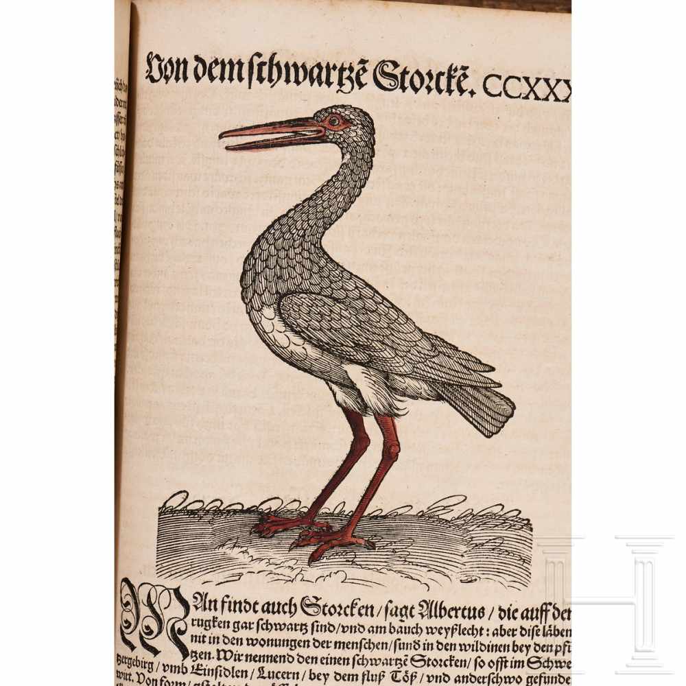 Conrad Gesner, drei Hauptwerke in einem Band: Vogelbuch, Thierbuch, Fischbuch; Zürich, Froschauer, - Image 45 of 46