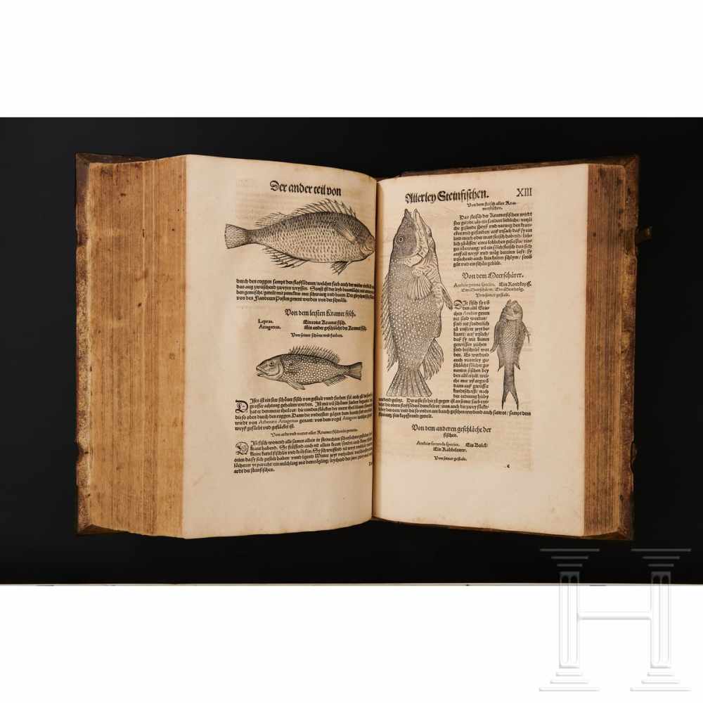 Conrad Gesner, drei Hauptwerke in einem Band: Vogelbuch, Thierbuch, Fischbuch; Zürich, Froschauer, - Image 13 of 46