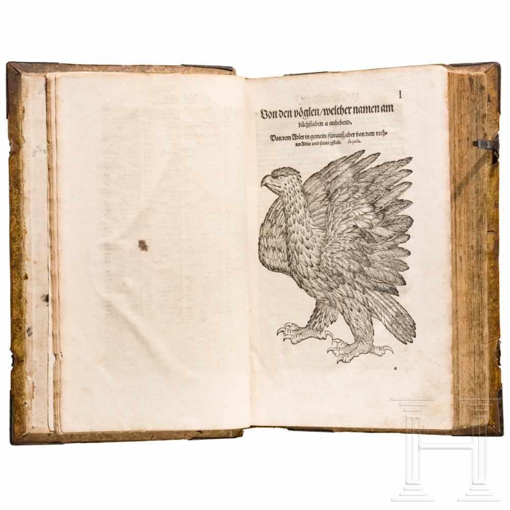 Conrad Gesner, drei Hauptwerke in einem Band: Vogelbuch, Thierbuch, Fischbuch; Zürich, Froschauer, - Image 16 of 46