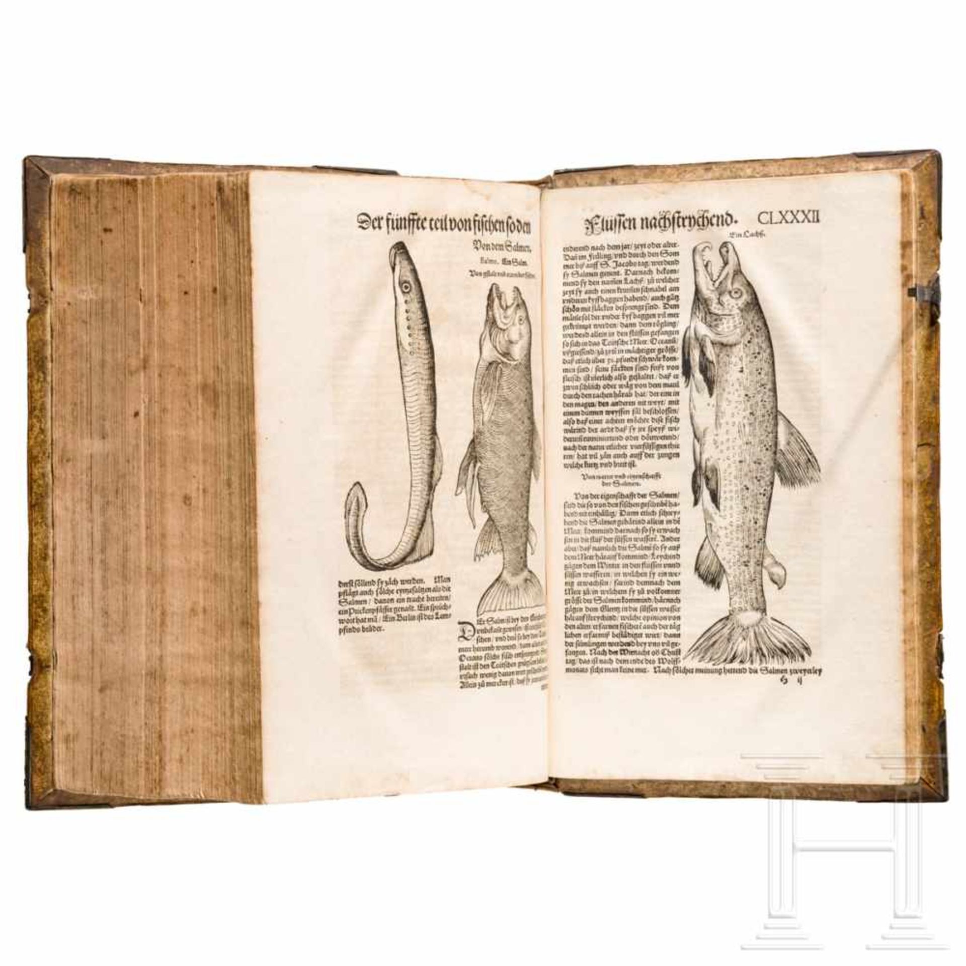 Conrad Gesner, drei Hauptwerke in einem Band: Vogelbuch, Thierbuch, Fischbuch; Zürich, Froschauer, - Bild 30 aus 46