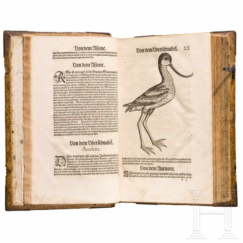 Conrad Gesner, drei Hauptwerke in einem Band: Vogelbuch, Thierbuch, Fischbuch; Zürich, Froschauer, - Image 21 of 46