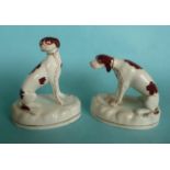 A pair of seated Staffordshire pottery hounds on oval bases, circa 1840