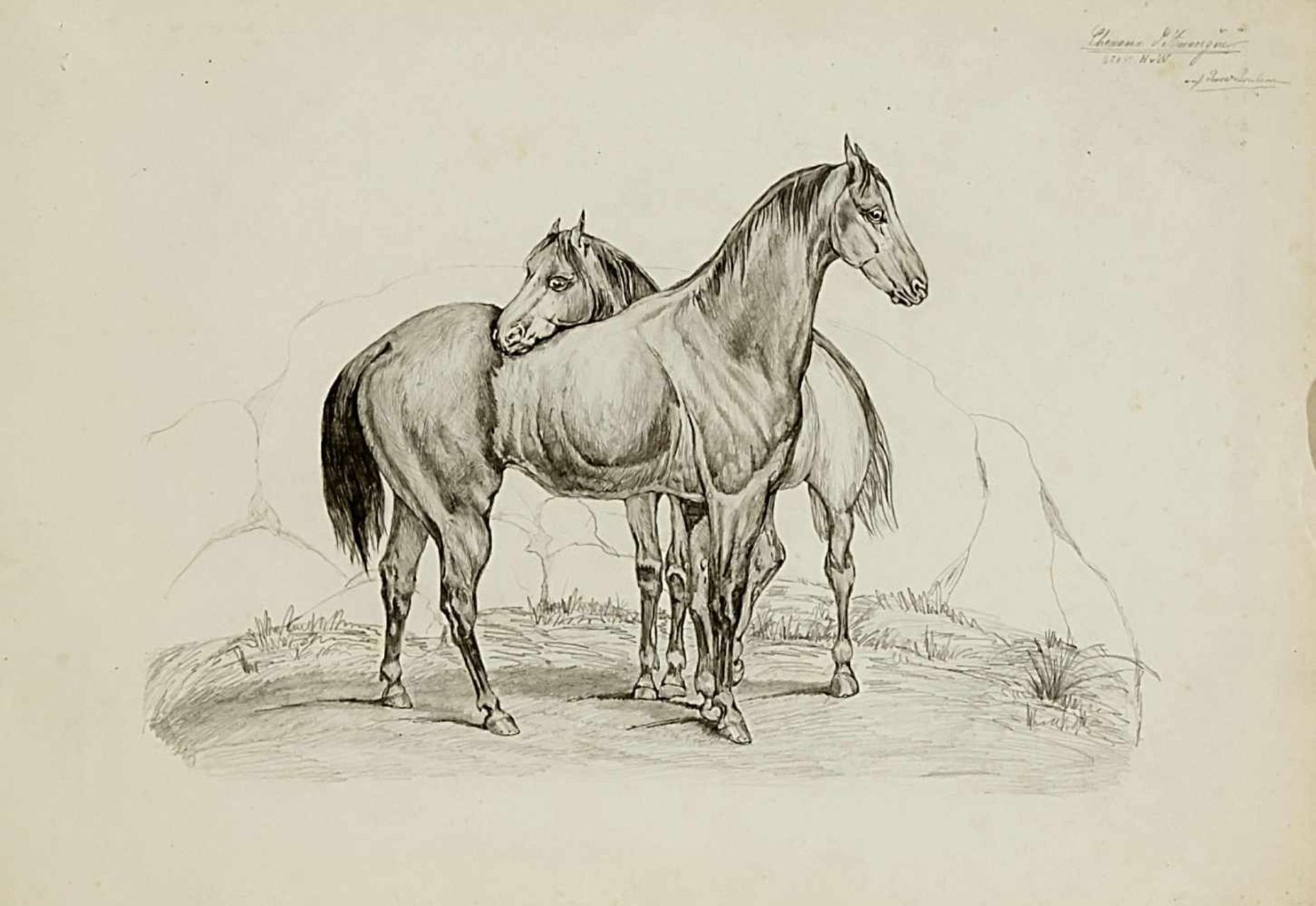 Horses - various artists of the 19. Jh., Horse portraits and representations, partly after - Bild 2 aus 5