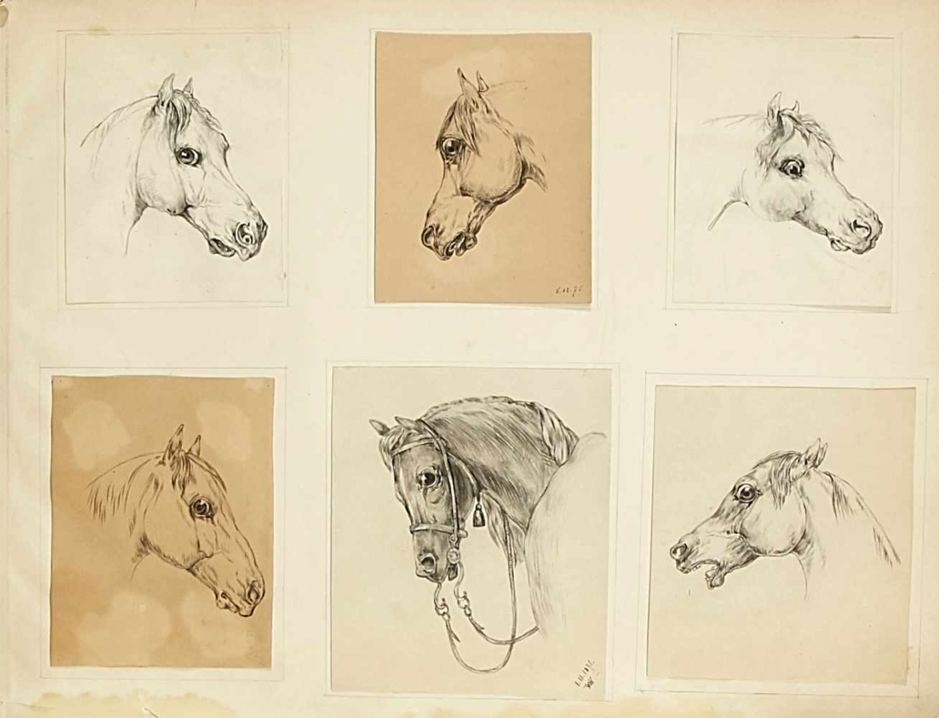 Horses - various artists of the 19. Jh., Horse portraits and representations, partly after - Bild 5 aus 5