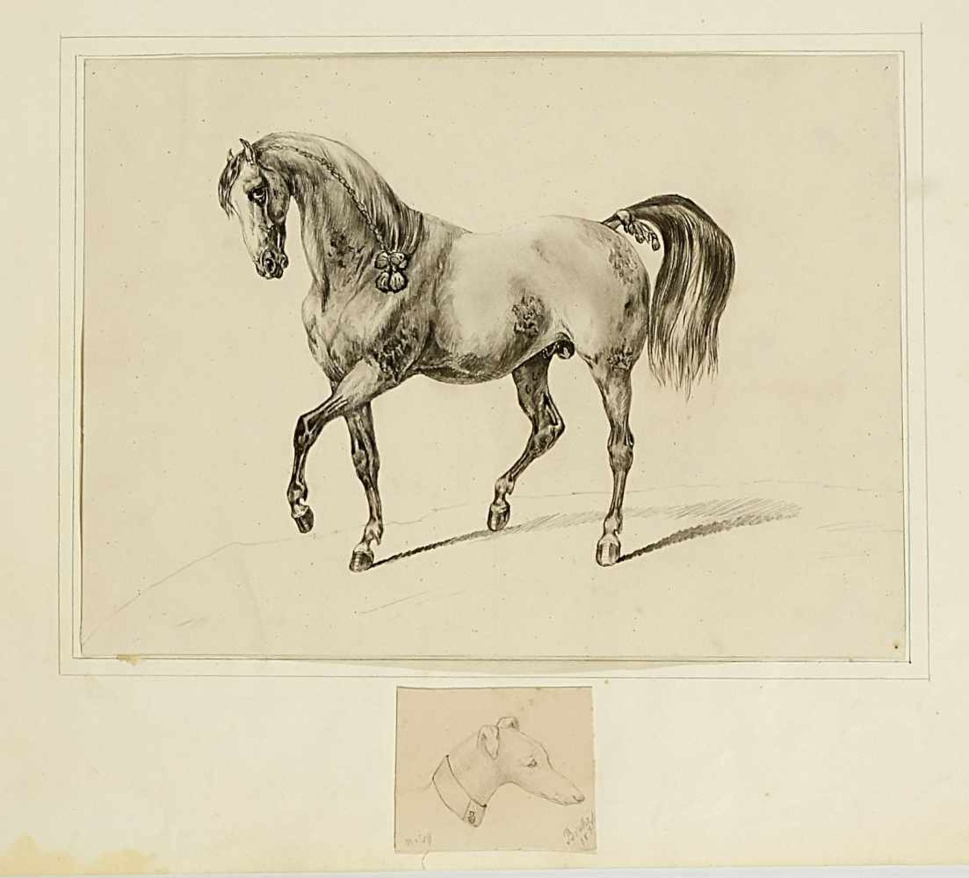 Horses - various artists of the 19. Jh., Horse portraits and representations, partly after - Bild 4 aus 5