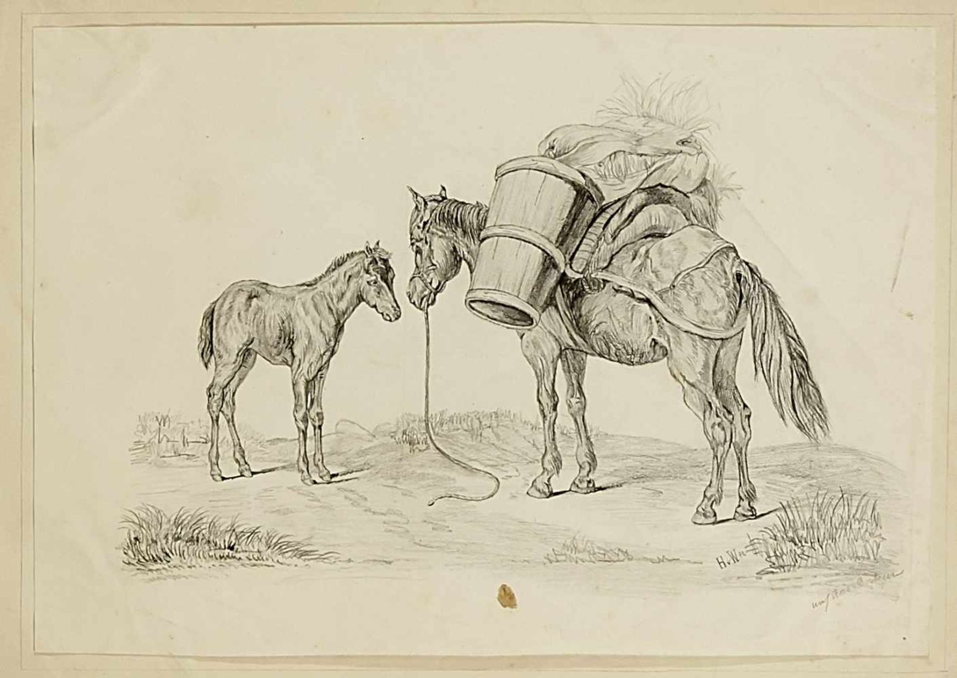 Horses - various artists of the 19. Jh., Horse portraits and representations, partly after