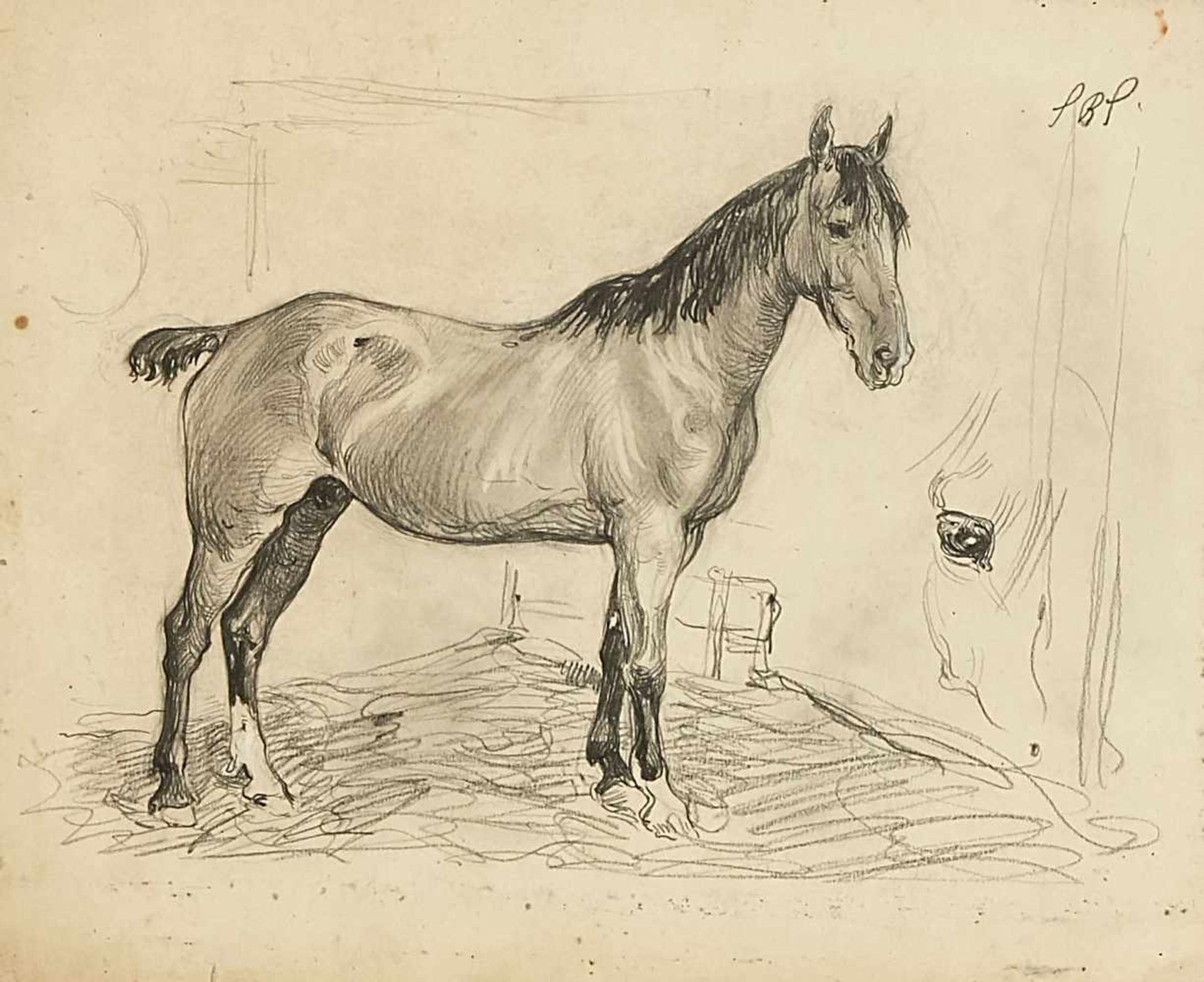 Horses - various artists of the 19. Jh., Horse portraits and representations, partly after - Bild 3 aus 5