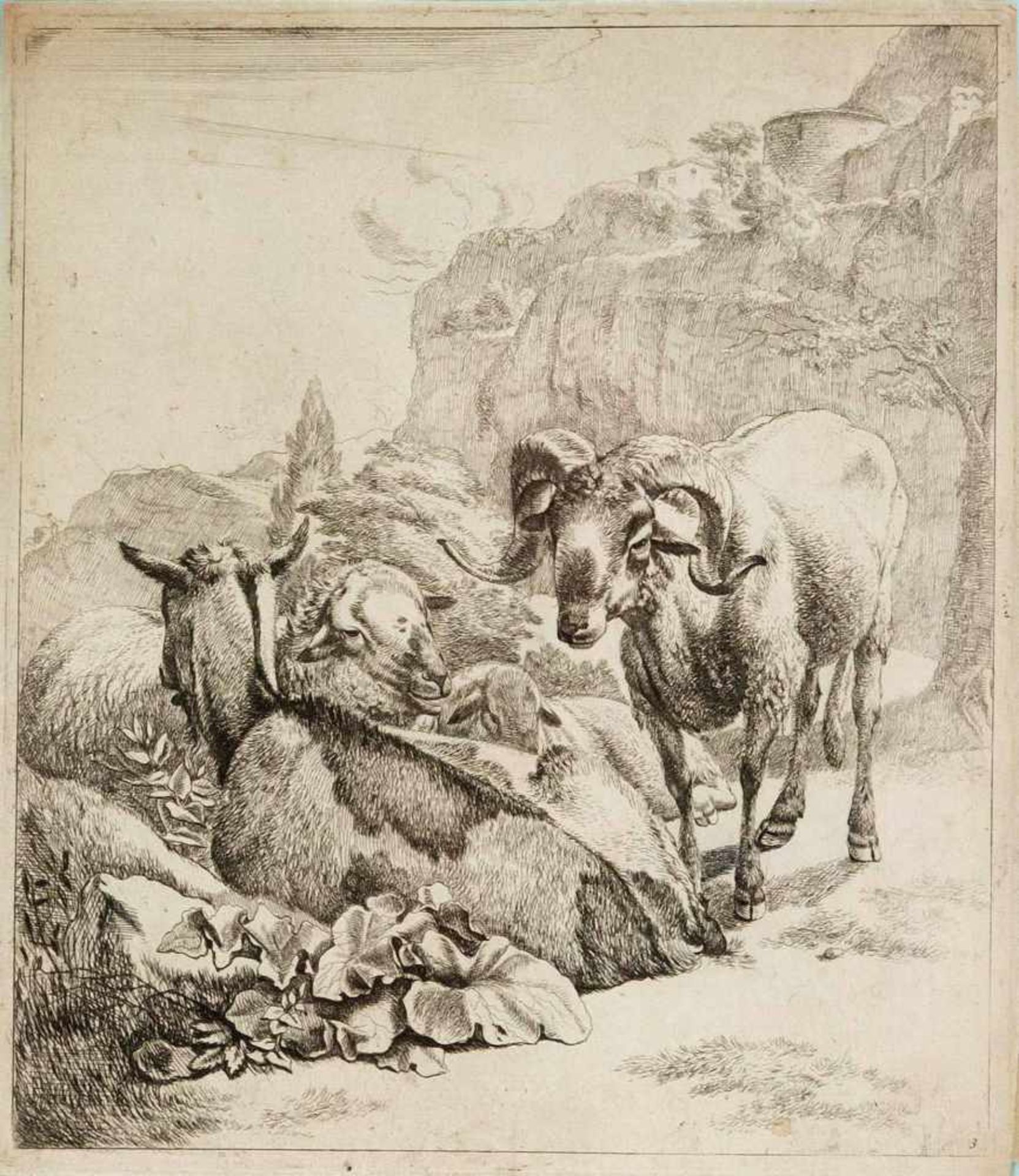 Johann Heinrich Roos (1631-1685), standing ram with resting goat and two sheep, etching