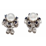 Akoya sapphire stud earrings WG 585/000, each with a fine Akoya pearl 6 mm and 6 roundfaced