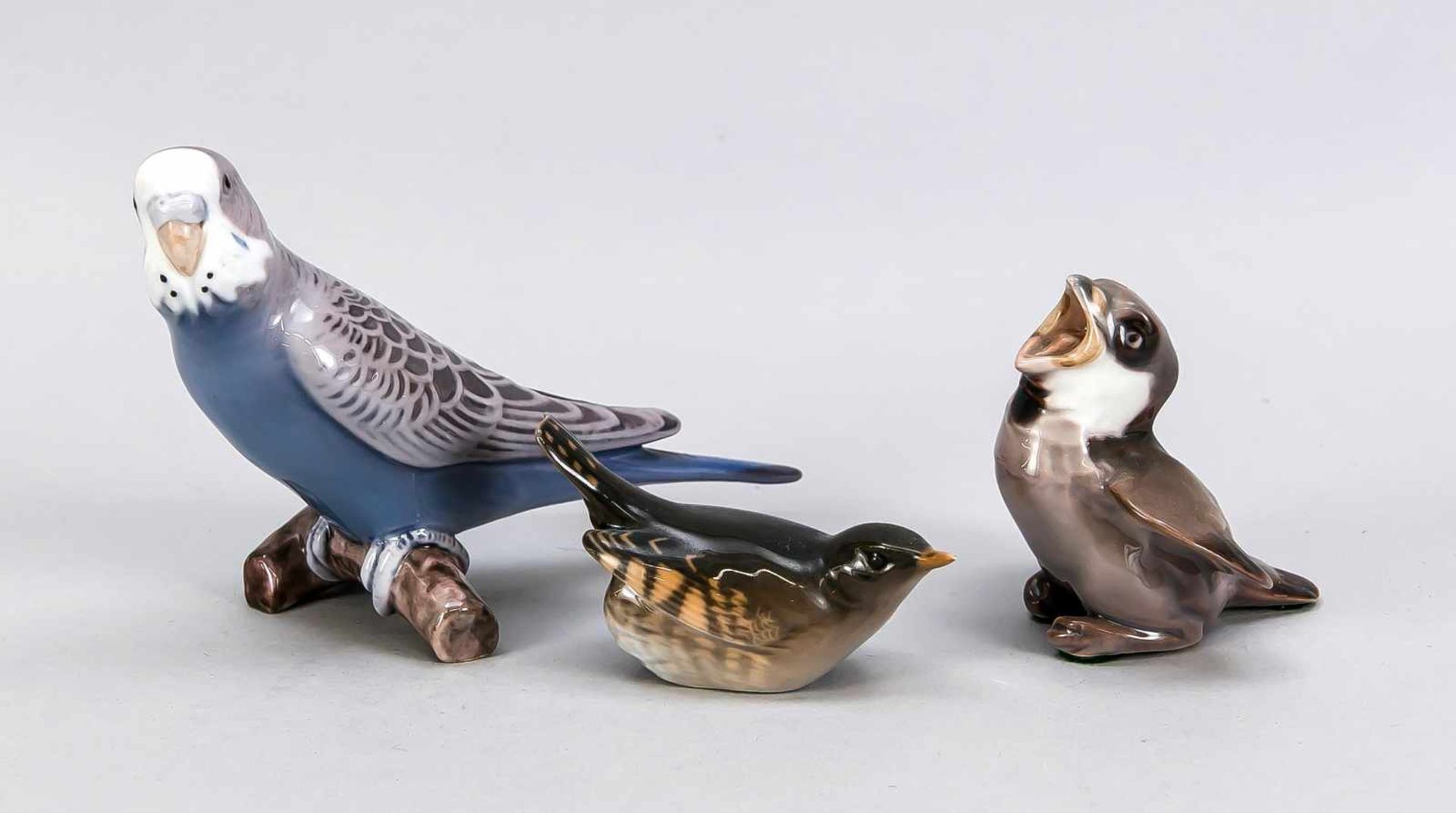 Drei Vögel, Kopenhagen, Ende 20. Jh., Wellensittich, Bing & Gröndahl, Entwurf SvendJespersen, mit