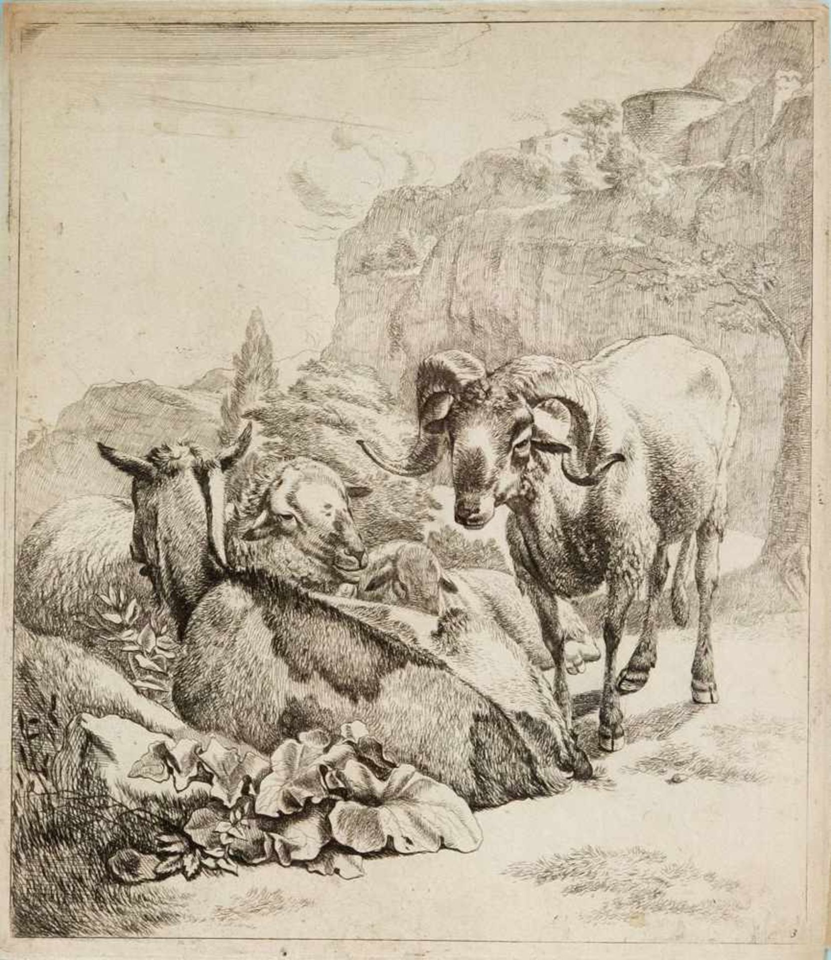 Johann Heinrich Roos (1631-1685), Stehender Schafsbock mit ruhender Ziege und zweiSchafen, Radierung