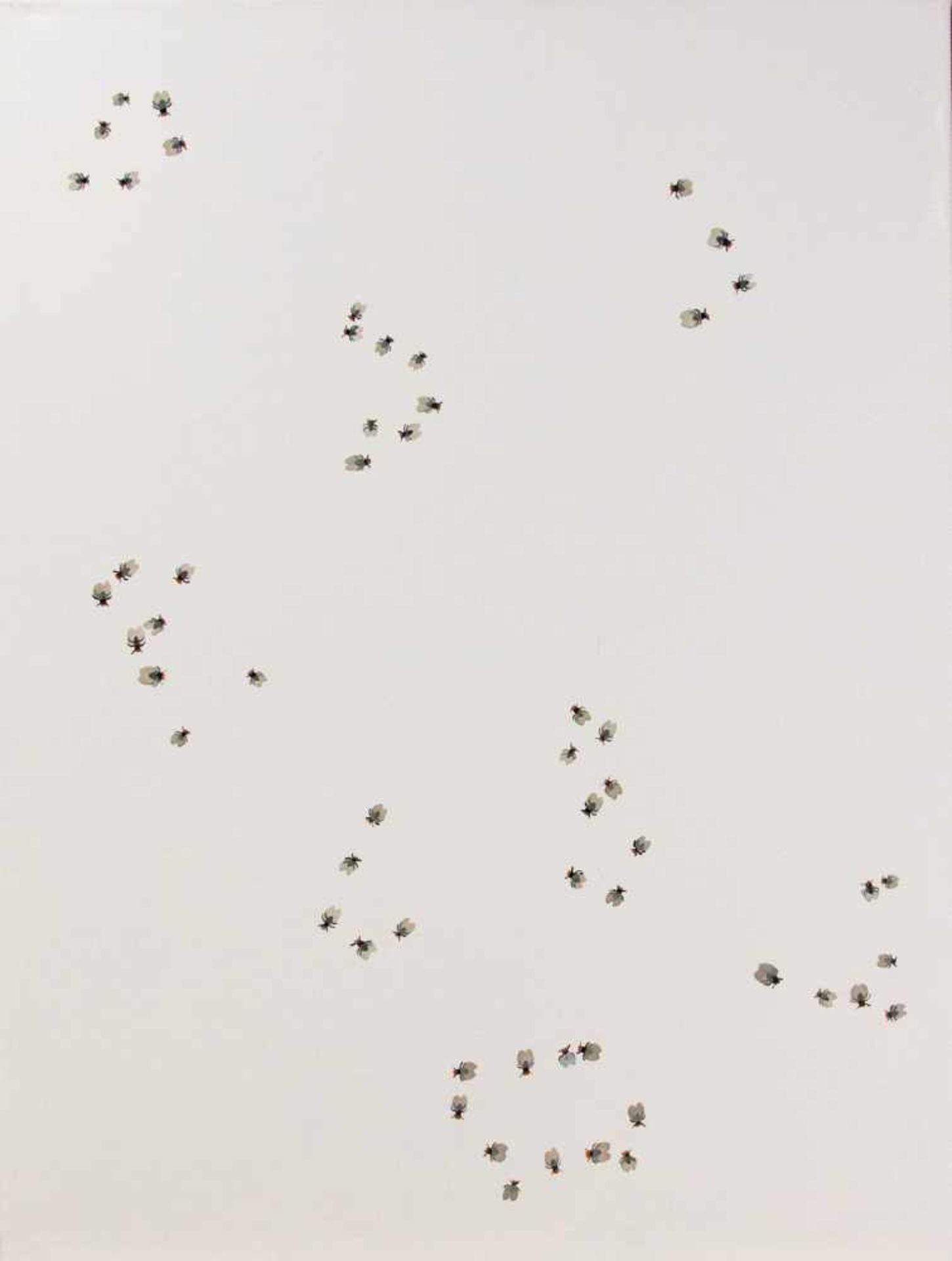 Jens Ulrich Petersen (*1947), zeitgenössischer, dänischer Künstler, Gruppen von Fliegenauf weißem