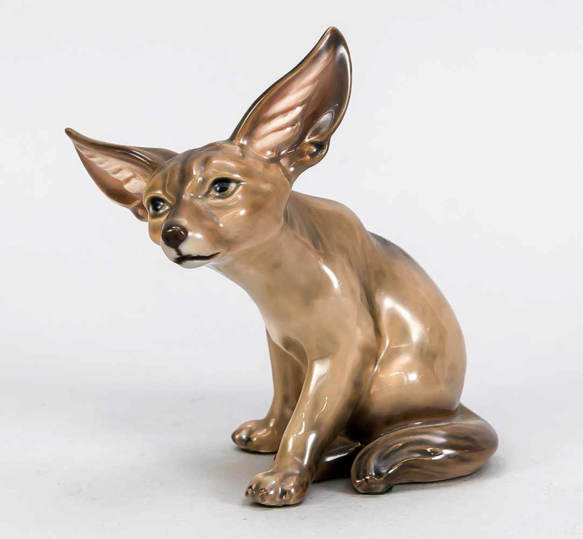 Wüstenfuchs, Dahl Jensen, Kopenhagen, Marke 1925-75, Modellnr. 1236, naturalistsichstaffiert in