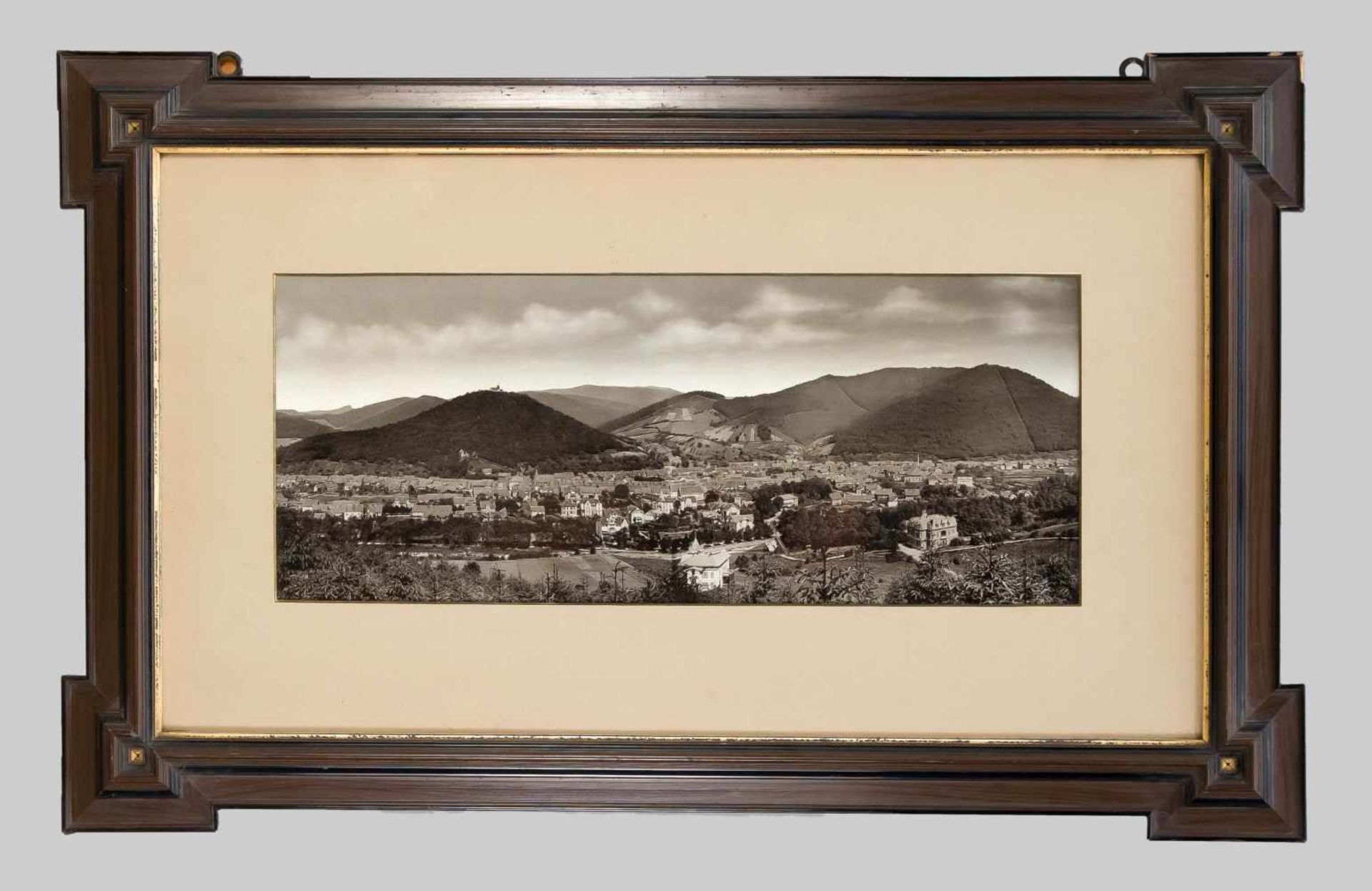 Historische, sehr große Schwarzweißfotografie von Blankenburg im Harz um 1880, 23 x 56 cm,