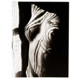 Man Ray (1890-1976), "Juliet", photograph, print for the stylus art 1991, stamped on the