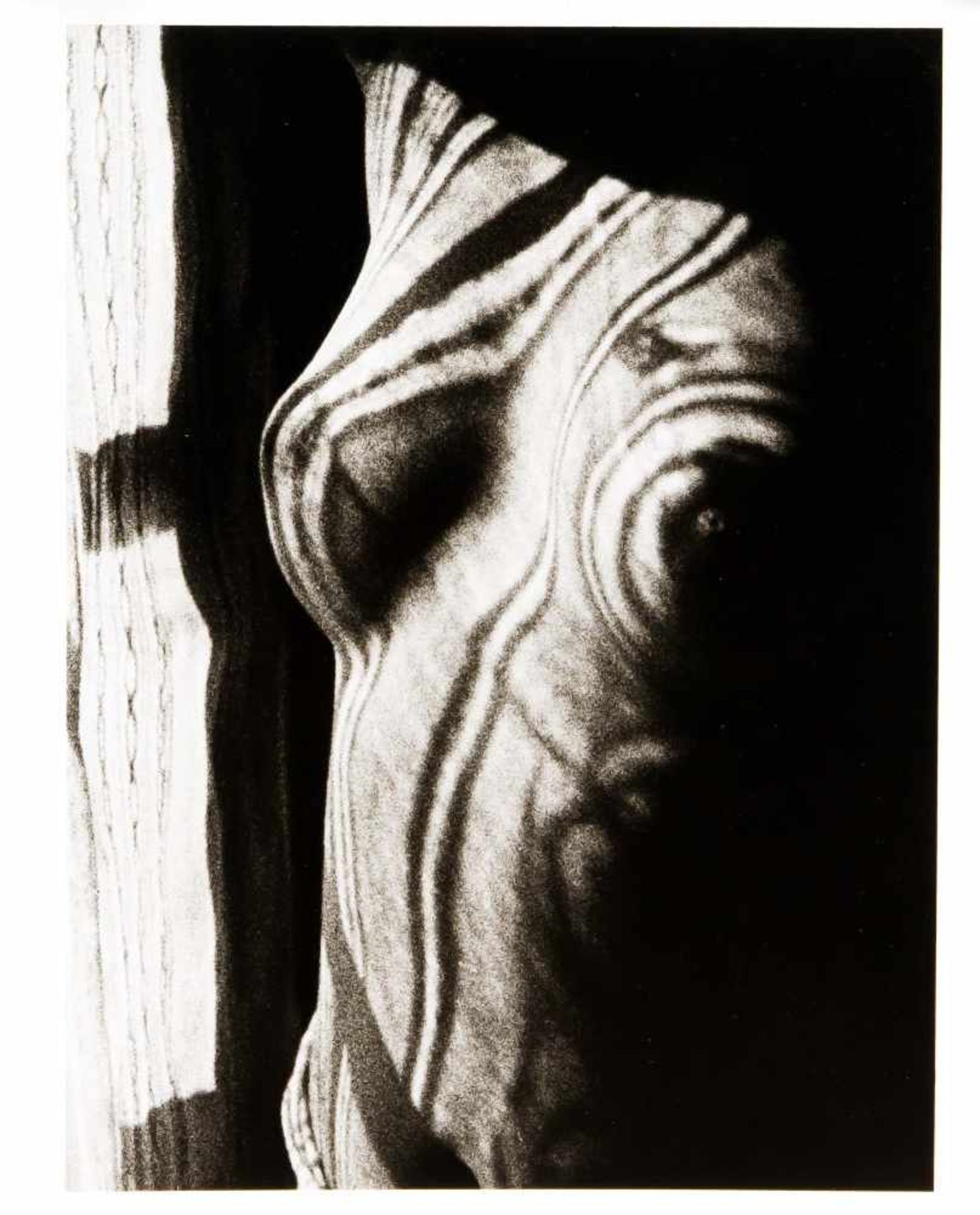 Man Ray (1890-1976), "Juliet", photograph, print for the stylus art 1991, stamped on the