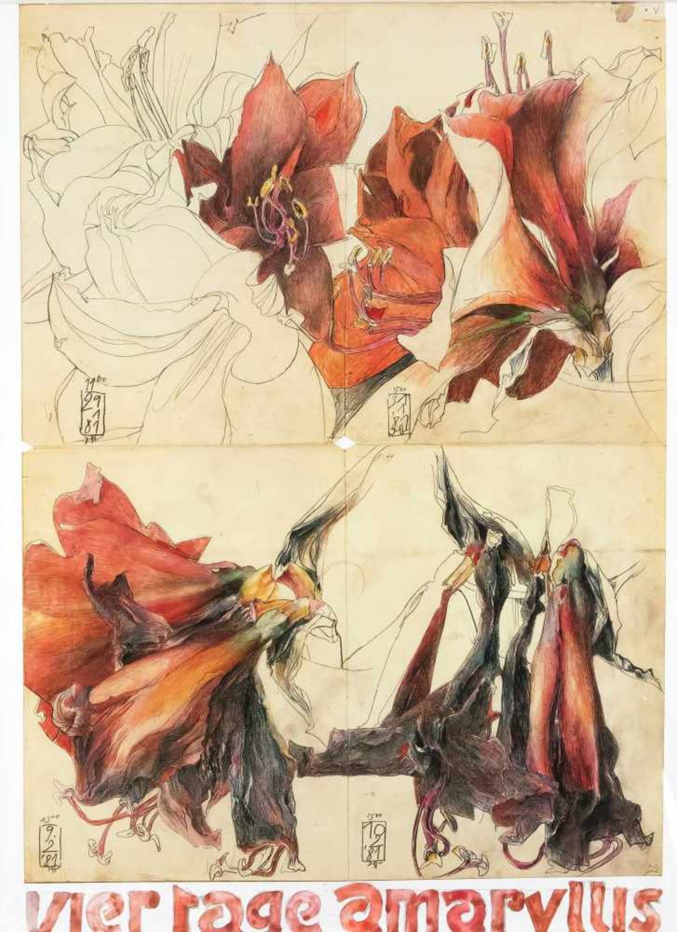 Horst Janssen (1929-1995), 2 Plakate "Amaryllis", Farboffsetlithographien nach den - Bild 2 aus 2