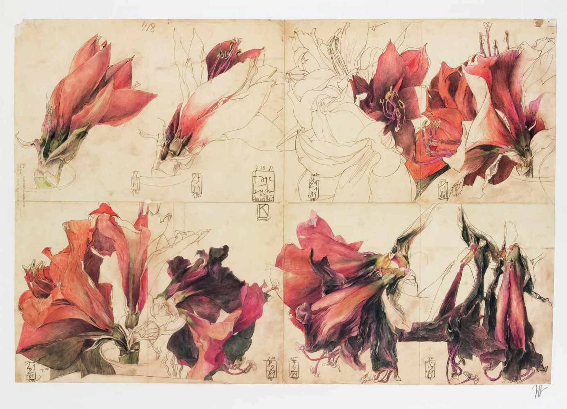 Horst Janssen (1929-1995), 2 Plakate "Amaryllis", Farboffsetlithographien nach den