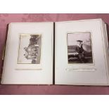 VICTORIAN PHOTOGRAPH ALBUM WITH CABINET CARDS AND CDV BY NORFOLK PHOTOGRAPHERS (20 CAB, 16 CDV)