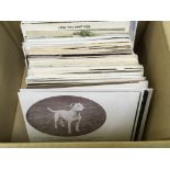 SMALL BOX WITH A COLLECTION OF POSTCARDS SHOWING DOGS, ART, GREETINGS, AND RP TYPES, NAMED BREEDS, G