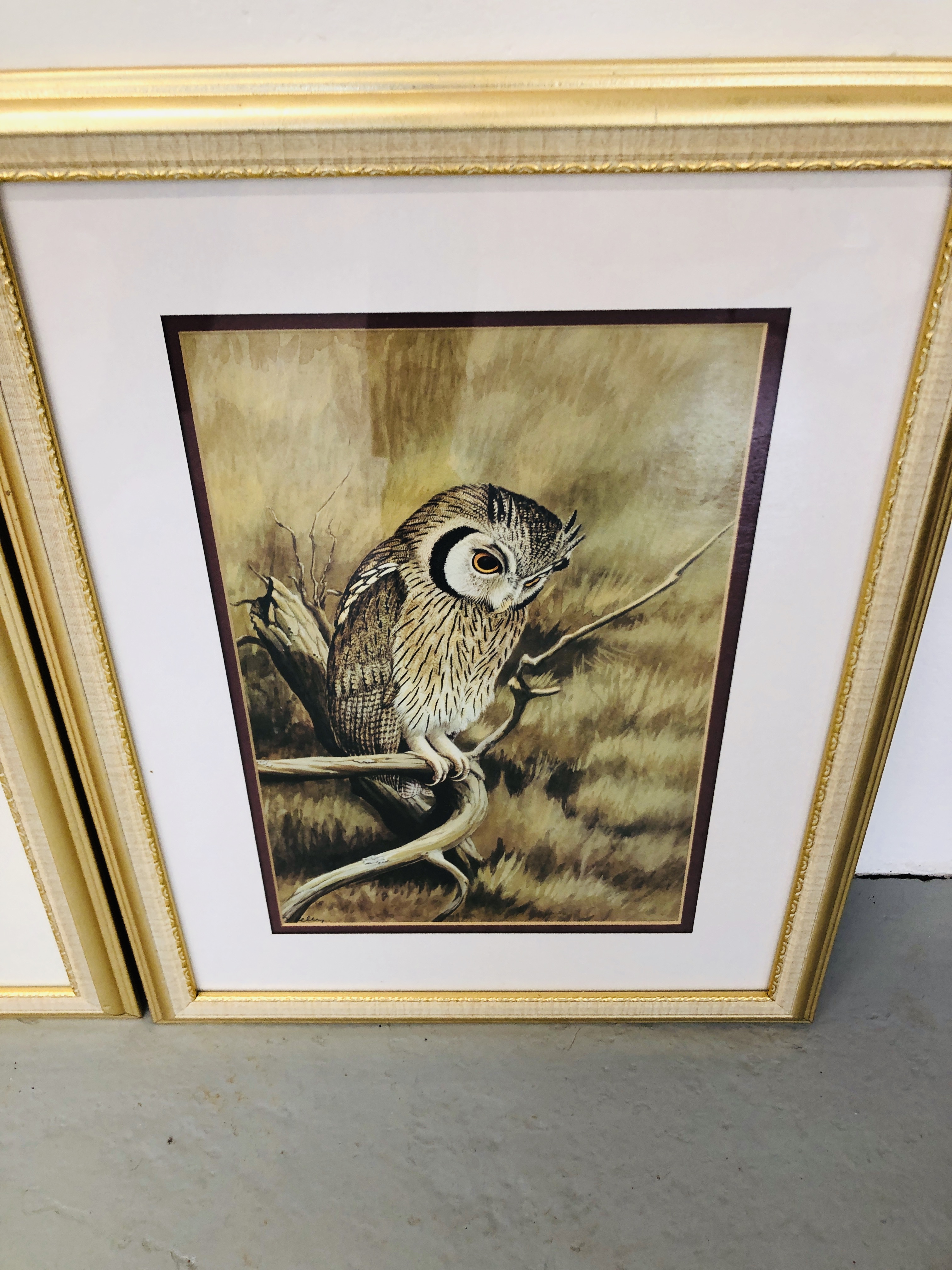 SET OF FRAMED BIRD PRINTS BY "KELLY" - Image 5 of 5
