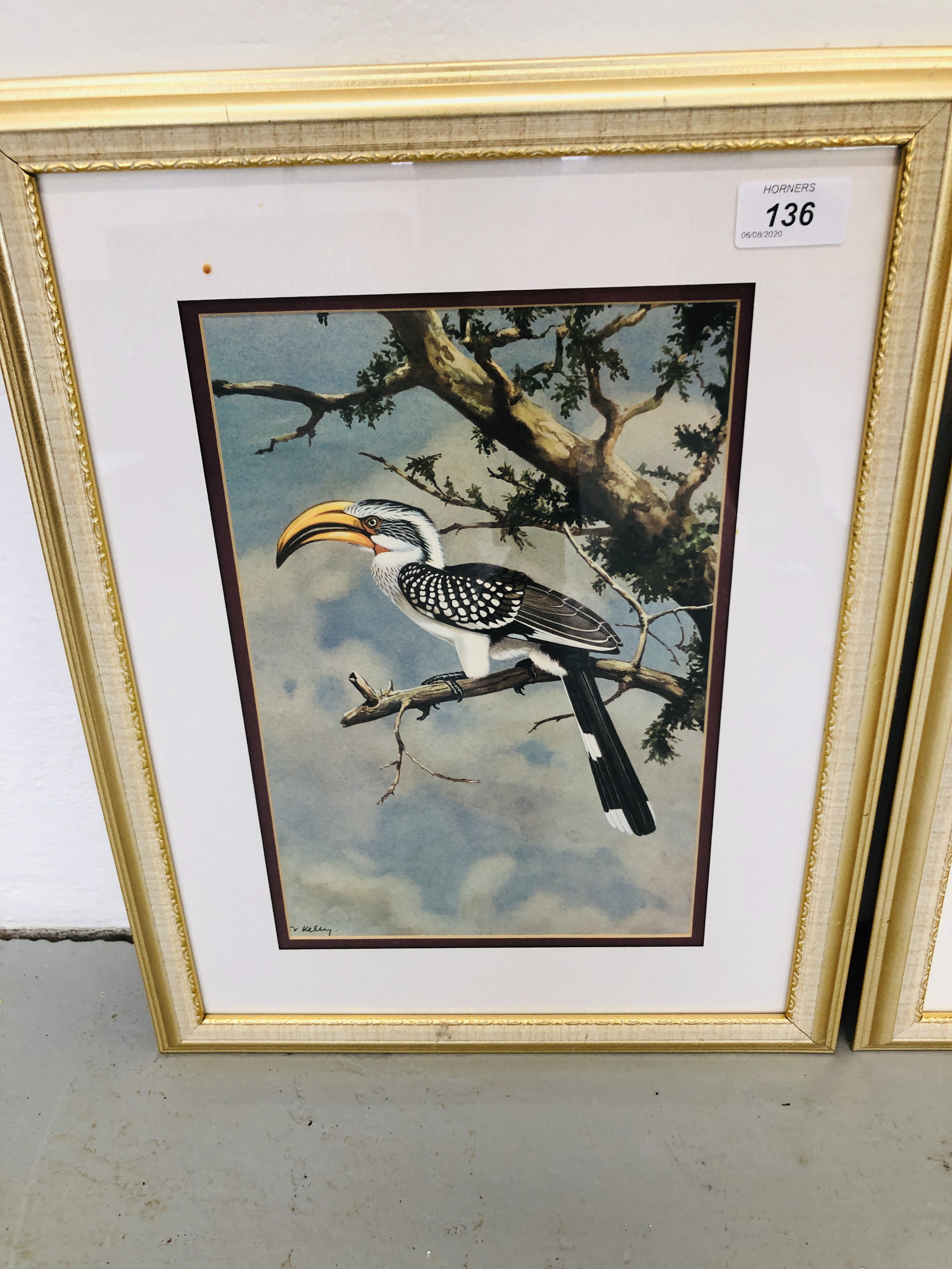 SET OF FRAMED BIRD PRINTS BY "KELLY" - Image 2 of 5