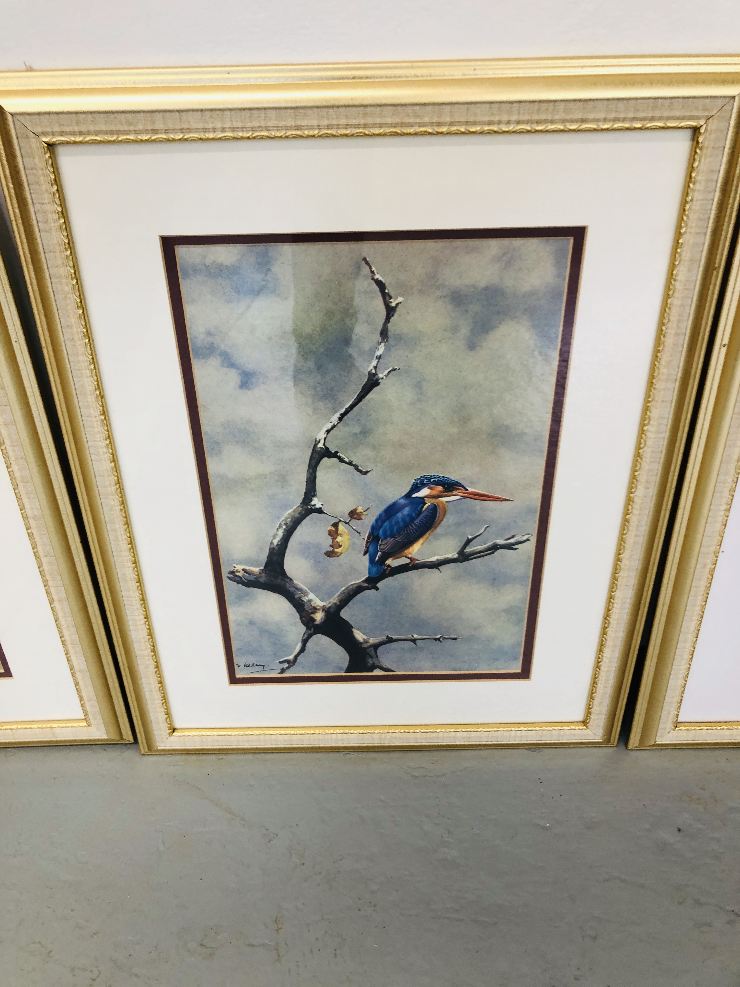 SET OF FRAMED BIRD PRINTS BY "KELLY" - Image 4 of 5