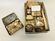 A COLLECTION OF VARIOUS SHELLS TO INCLUDE AND ANIMAL BONE