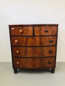 A VICTORIAN MAHOGANY TWO OVER THREE BOW FRONTED CHEST STANDING ON TURNED FEET